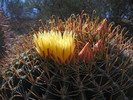 photo thumbnail #5