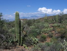 photo thumbnail #7