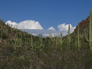 photo thumbnail #9