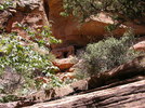 photo thumbnail #3
