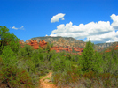 photo thumbnail #3