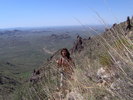 photo thumbnail #8