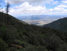 photo thumbnail #14