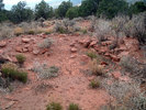 photo thumbnail #1
