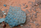 photo thumbnail #3
