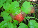 photo thumbnail #2