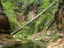 photo thumbnail #4