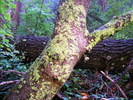 photo thumbnail #11