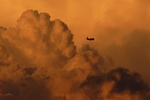 photo thumbnail #5