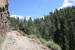 photo thumbnail #8