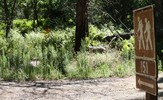 photo thumbnail #12