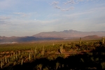 photo thumbnail #2