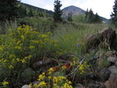 photo thumbnail #7