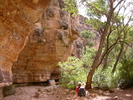 photo thumbnail #5