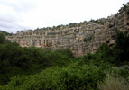photo thumbnail #9