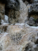 photo thumbnail #15