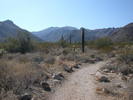 photo thumbnail #1