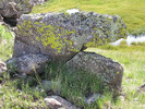 photo thumbnail #5