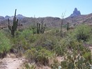 photo thumbnail #3