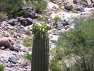 photo thumbnail #11