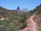 photo thumbnail #15