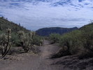photo thumbnail #3