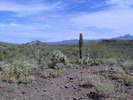 photo thumbnail #5