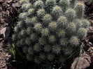 photo thumbnail #6