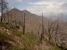 photo thumbnail #7