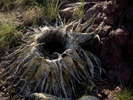 photo thumbnail #14