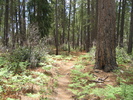 photo thumbnail #4