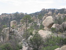 recent photo