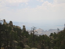 photo thumbnail #7