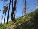 recent photo