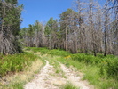 photo thumbnail #11