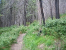photo thumbnail #14