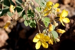 Featured Detail Photo