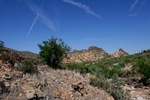 photo thumbnail #12