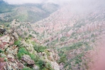 photo of comment