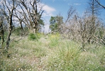 photo thumbnail #10
