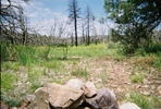photo thumbnail #11