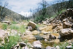 photo thumbnail #13