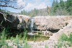 photo of comment