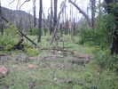 photo thumbnail #7