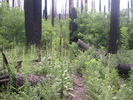 photo thumbnail #12