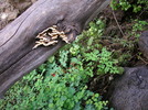 photo thumbnail #1