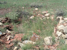photo thumbnail #6