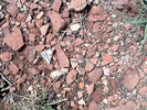 photo thumbnail #10