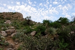 photo thumbnail #2