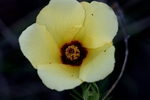 photo thumbnail #15